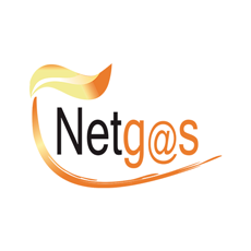 Netgas servicios para equipos a gas